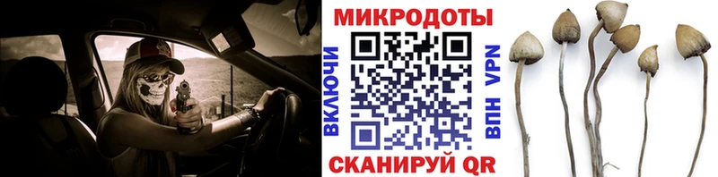 Галлюциногенные грибы MAGIC MUSHROOMS  Покровск 